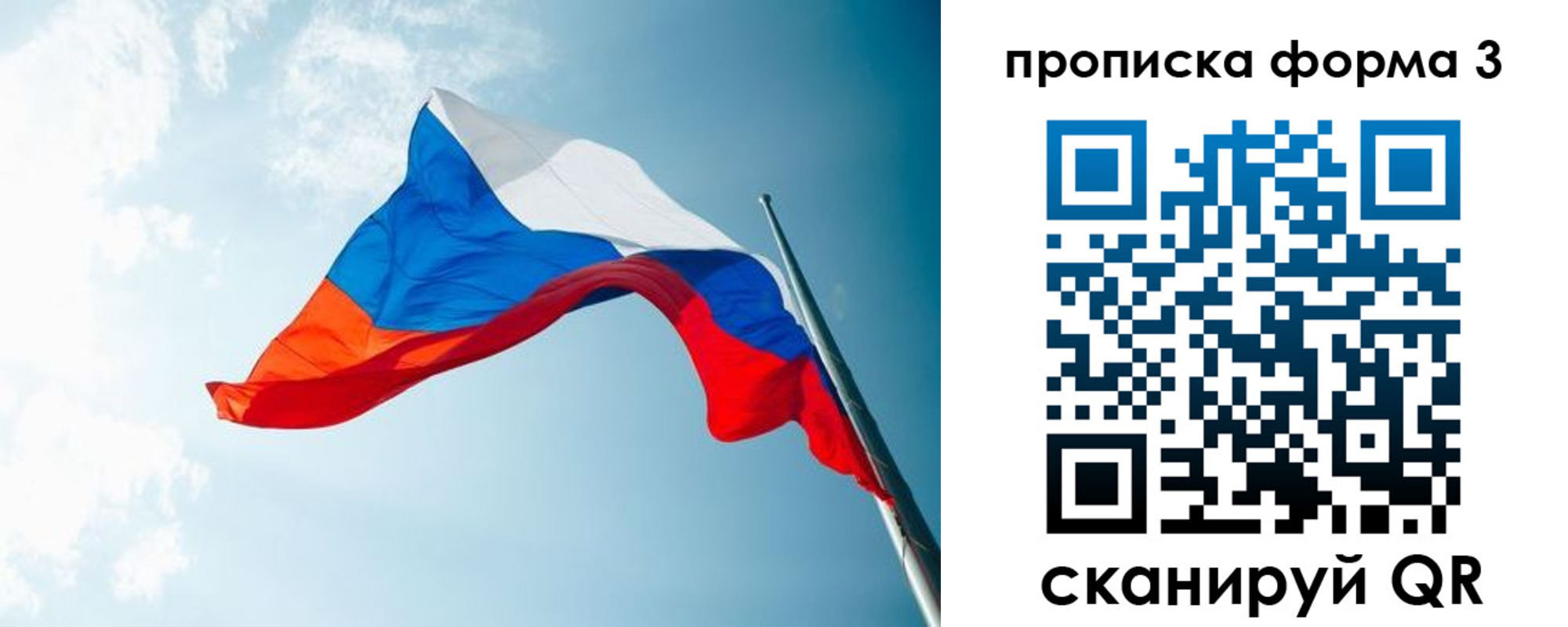 временная регистрация гарантия в Лыткарино