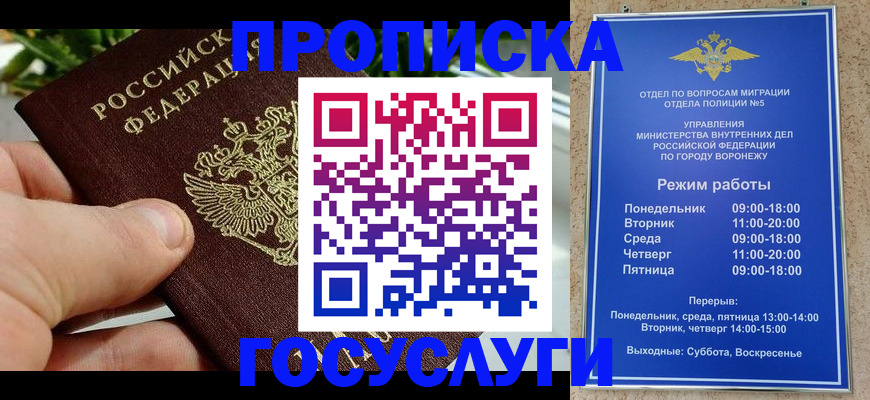 временная регистрация для школы в Лыткарино